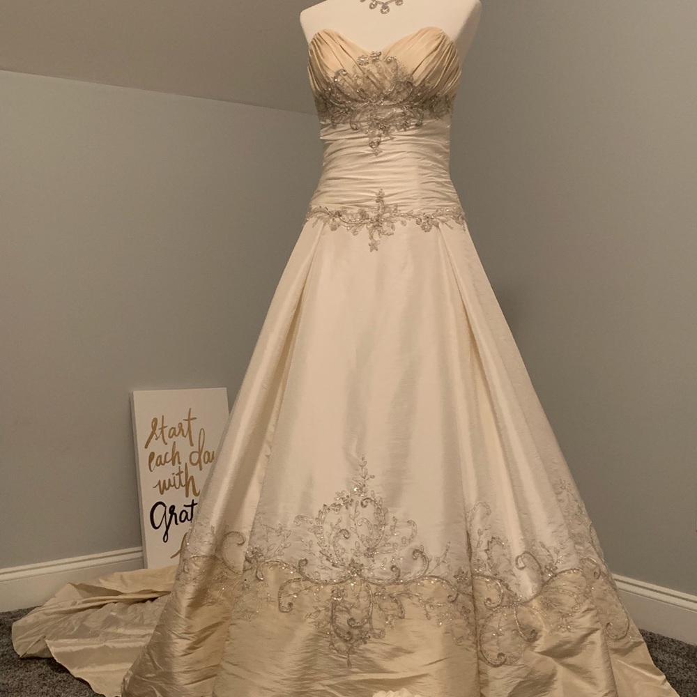 Two Tone Wedding Gown